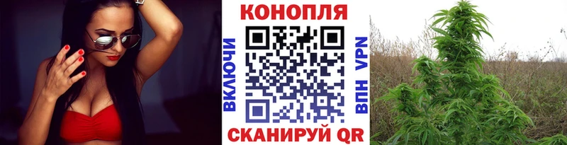закладки Вятские Поляны Бошки марихуана SATIVA & INDICA
